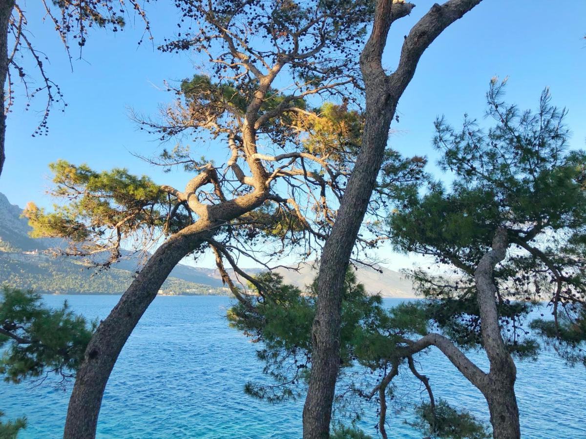 科尔丘拉 伦帝娜旅馆酒店 外观 照片